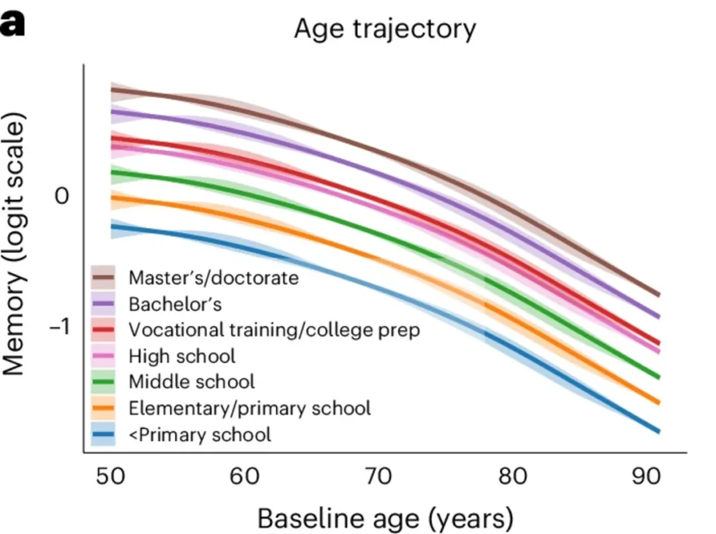 Kurven zeigen Abbau von Gedächtnisleistung im Alter. Die Kurven verlaufen parallel: Höher Gebildete beginnen auf einem höheren Niveau, verlieren aber im gleichen Tempo wie weniger Gebildete. 