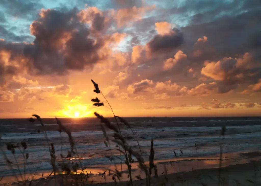 SHARE International Seminar Series